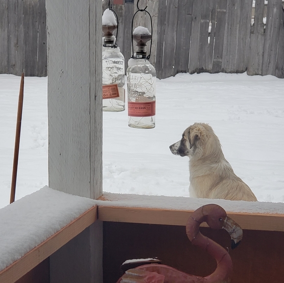 Solar Hanging Bulleit Bourbon Lantern *BEAUTIFUL IN WINTER, TOO* - Picture 7 of 10